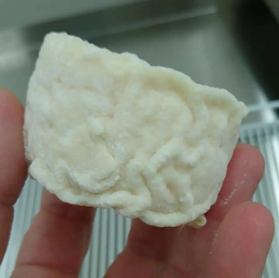 Un fromage de chèvre de La Chèvreline en cours d’affinage